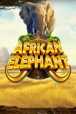 African Elephant